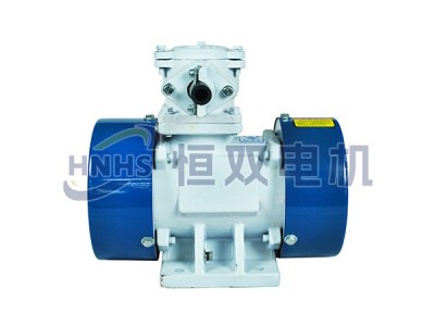 YBZD振動源隔爆型三相異步電機