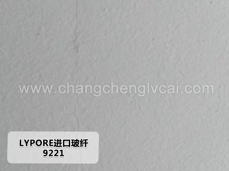 LYPORE進(jìn)口玻纖9221